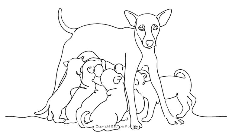 Minimalist one-line continuous drawing of a mother dog standing protectively over five nursing puppies, symbolizing care, resilience, and the struggle for survival in The Rain, The Gutter and the Five Little Souls.